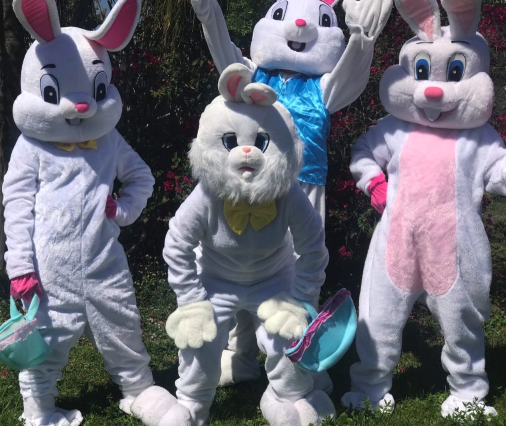 Hire Easter Bunny Mascot Fort Myers