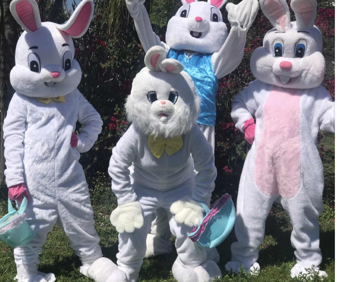 Easter Bunny Mascot for Hire