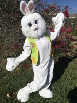 Easter Bunny Rabbit for egg hunts